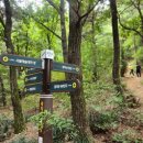 광덕산밑공원 이미지