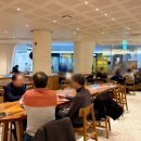 스타벅스 동대문디자인플라자점 | 스타벅스 딸기눈송이 케이크 스벅 비프 멜트 샌드위치 먹어봄