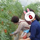 화양농장 이미지