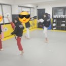 한울태권도교육관 이미지