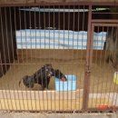 하우스농장 이미지