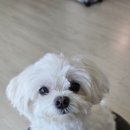 오감만족 이미지