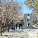 문탠로드 이미지