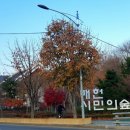소야노래공원 이미지