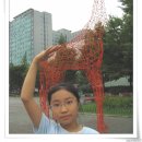 미관광장 이미지