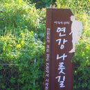 연강나룻길 C코스 이미지