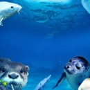 대전아쿠아리움 이미지