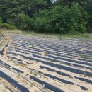 뉴열린공인중개사사무소 이미지