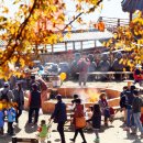 나루메디칼 이미지