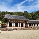 2024-주212 Daum카페
