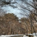 오토오아시스 평화점 | [강원도 인제 캠핑] 간편한 캠핑음식ㅣ오토캠핑장ㅣ겨울캠핑먹방ㅣ강원도 캠핑코스