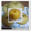 달콤새콤 이미지