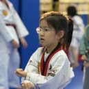 이글태권도장 이미지