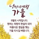 대박 도연 수지 경진 사진을 AI로 편집을 이미지