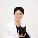 아이비유동물병원