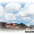 영성농장 이미지