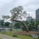 (주)금룡테크 네이버블로그