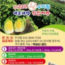 명가김치 이미지