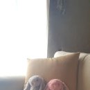 데일리로그감성사진관 이미지