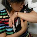 괴정4동-1 이미지