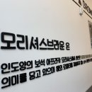 모리셔스브라운영종점 이미지