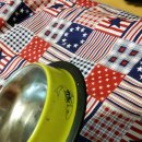 동래종합동물병원 이미지