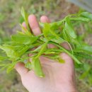 바람햇살농장 이미지