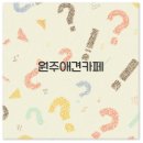 댕글멍글 | 원주 애견카페 추천 실내 대형견 대관까지 깔끔 정리