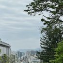 남부순환로328길 49__ 이미지