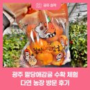 다연농장 이미지