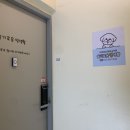 슬기로운 멍생활 이미지