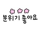 쿠키모리