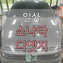 [일상] 소나타 디엣지, 현대자동차, 출고후기