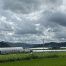 WR(서울특별시 강서구)-[마곡중앙로]-하-7 | 상반기 이모저모 [完]