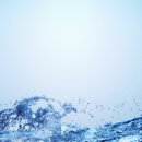 대성지하수개발 - 보은군 | 대성지하수개발