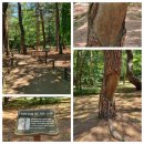 별촌 | 경치가 아름다운 생태숲 체험장소 홍천 수타사! (입장료/주차비 무료, 슾 해설은 보너스)