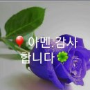 이화여자외국어고등학교 이미지