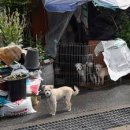 나산5일시장 | 전라도 함평군 나산시장