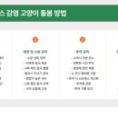 도그플러스동물병원 - 영등포구 당산로 42 | 도그플러스동물병원