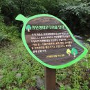 봉명1 이미지