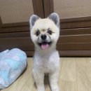 구구메디칼 이미지