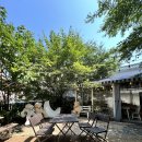 라곰(LAGOM) | 📍 인천 감성 가득한 정원 카페, 카페 라곰(CAFE LAGOM) 후기