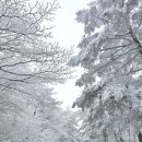 스테이서귀 이미지