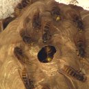 경북대학교 식물방역대학원 이미지