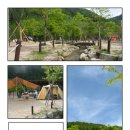 소백산삼가야영장 이미지