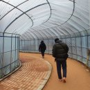 발바닥공원 이미지