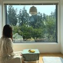 과수원집 소원재 | 제주도 서귀포 감성숙소 : 가성비좋은 과수원집 소원재 뒷집후기