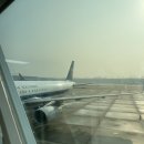 685 | 다롄 대련 자유여행 중국남방항공 CZ686 CZ685 무료셔틀버스 이용후기