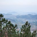 금산면사무소 이미지