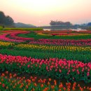 사계절풍경 이미지